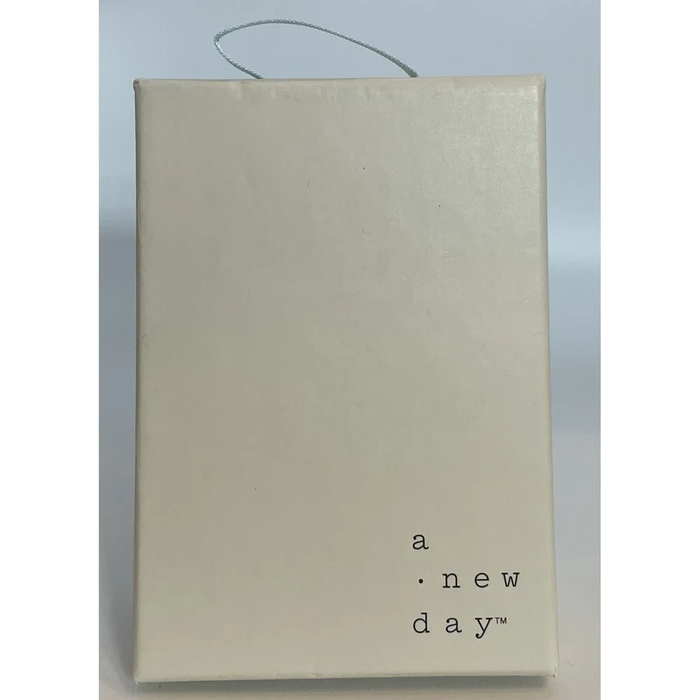 A New Day Silver-Plated 16